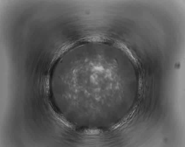 X0000100850202200806271143