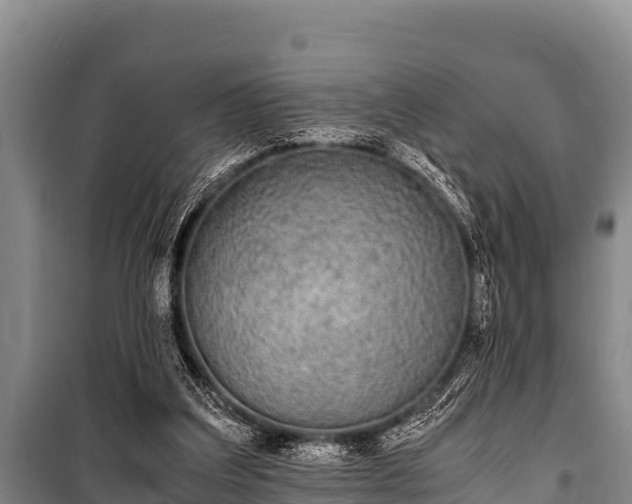 X0000100850203200806271143