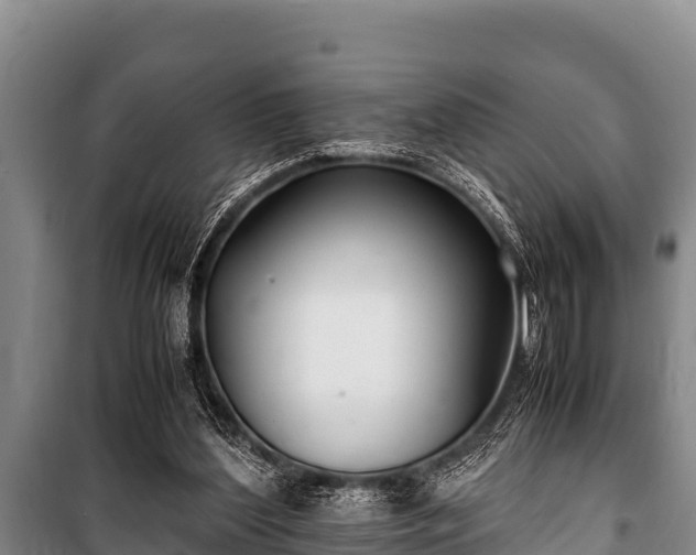 X0000100850204200806271143