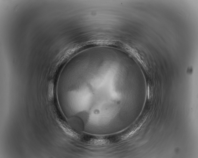 X0000100850205200806271143