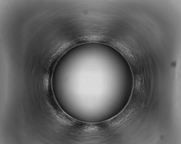 X0000100850206200806271143