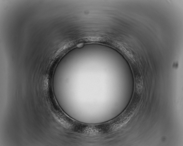 X0000100850207200806271143