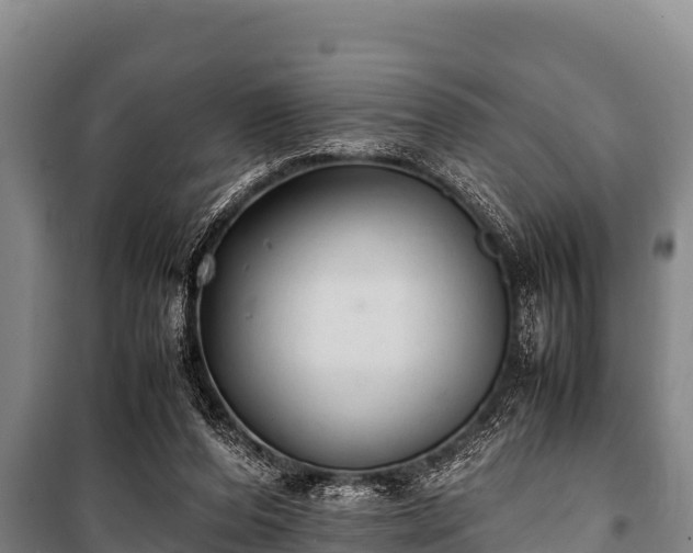 X0000100850208200806271143