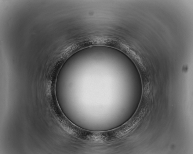 X0000100850209200806271143