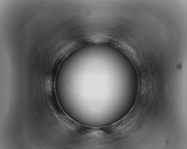 X0000100850210200806271143