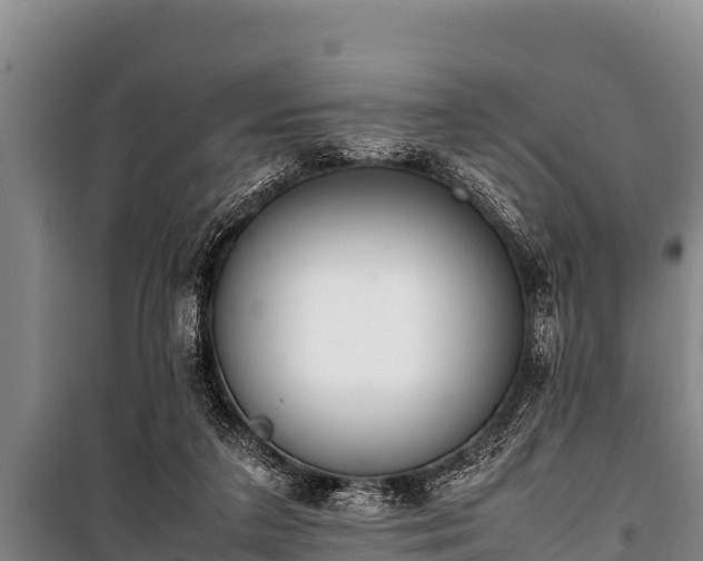 X0000100850211200806271143