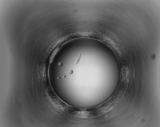 X0000100850212200806271143