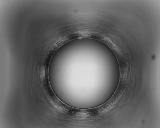 X0000100850213200806271143