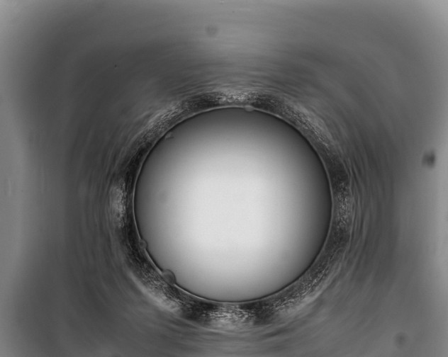 X0000100850215200806271143