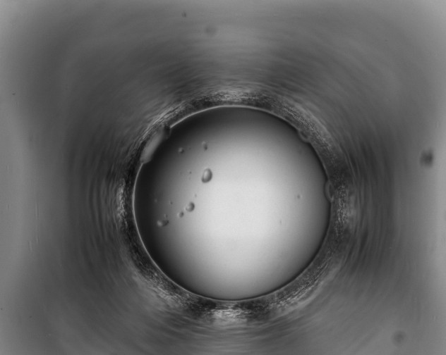 X0000100850216200806271143