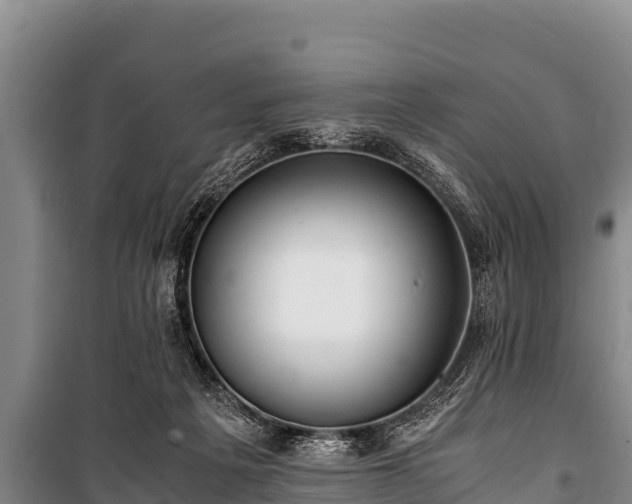 X0000100850217200806271143