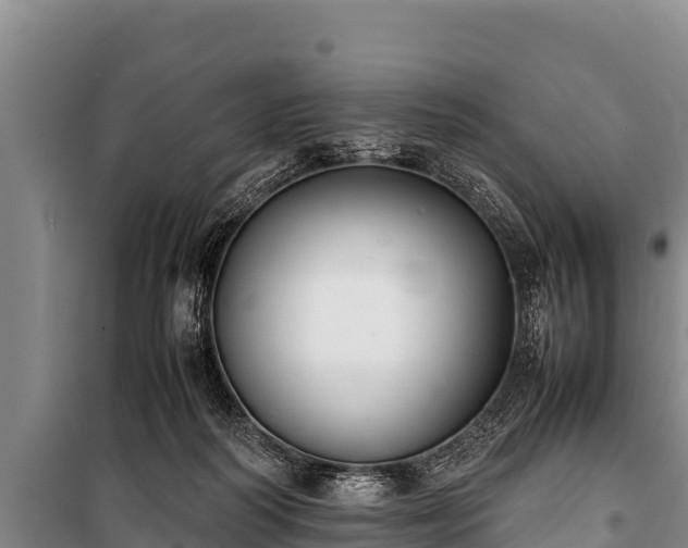 X0000100850218200806271143