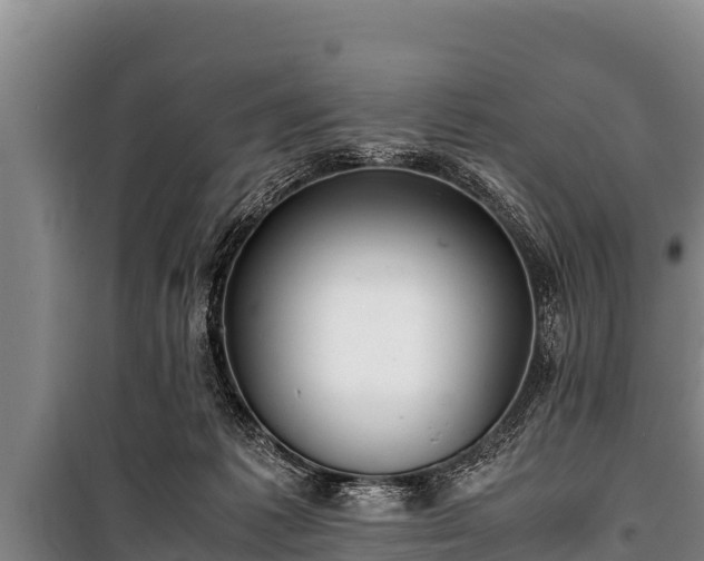 X0000100850221200806271143