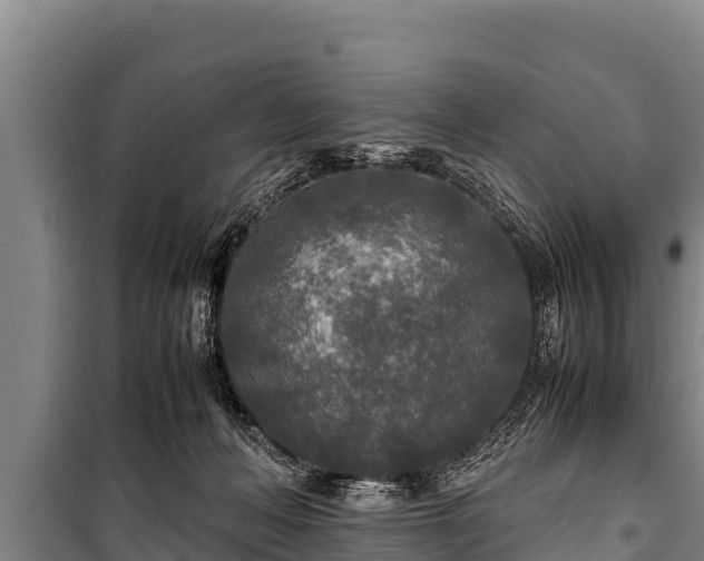 X0000100850222200806271143