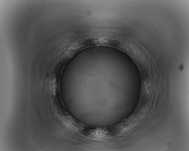 X0000100850223200806271143