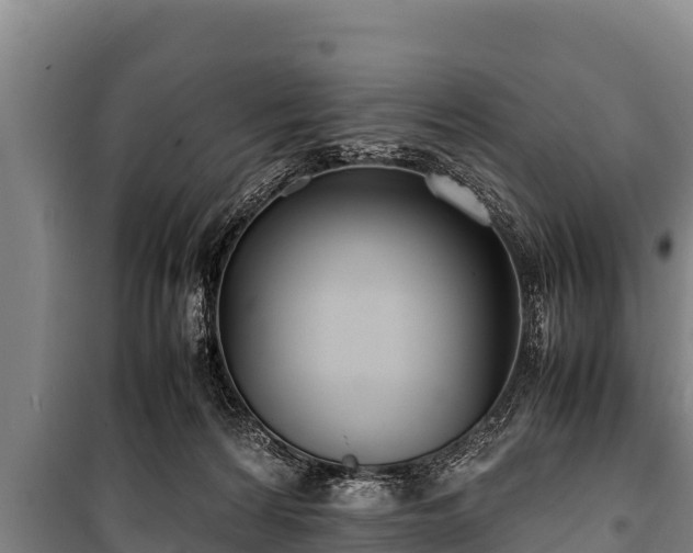 X0000100850224200806271143