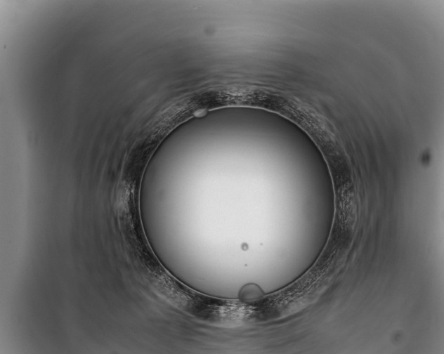 X0000100850225200806271143