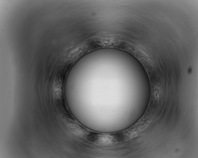 X0000100850226200806271143