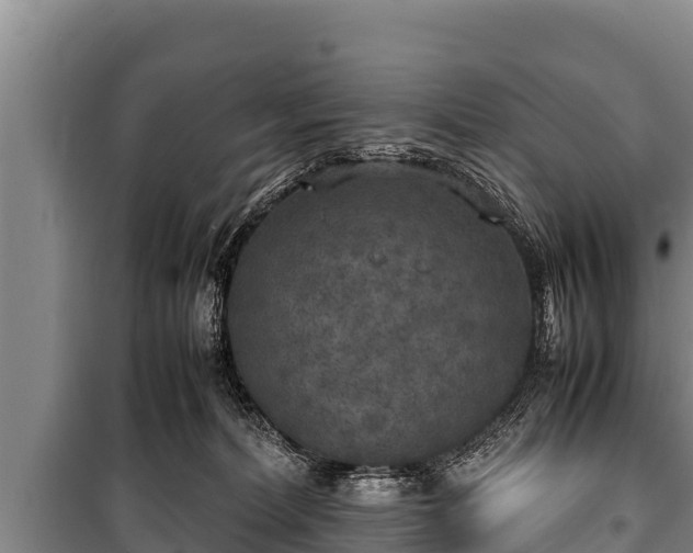 X0000100850228200806271143