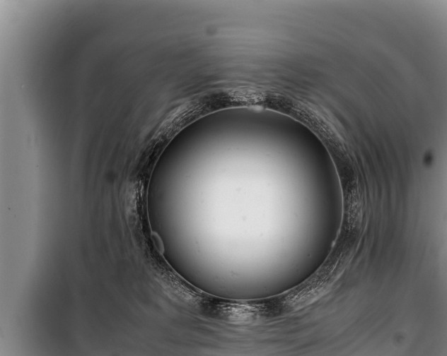 X0000100850229200806271143