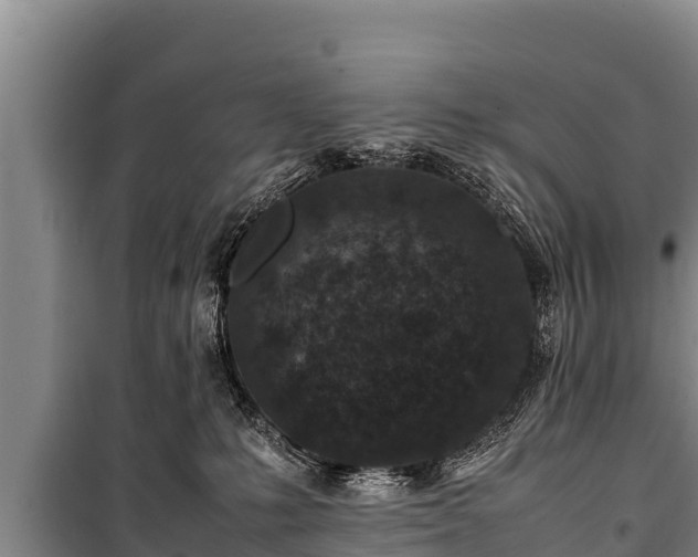 X0000100850231200806271143