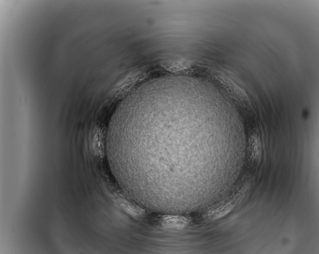 X0000100850234200806271143