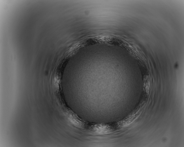 X0000100850235200806271143