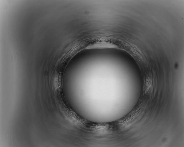 X0000100850236200806271143