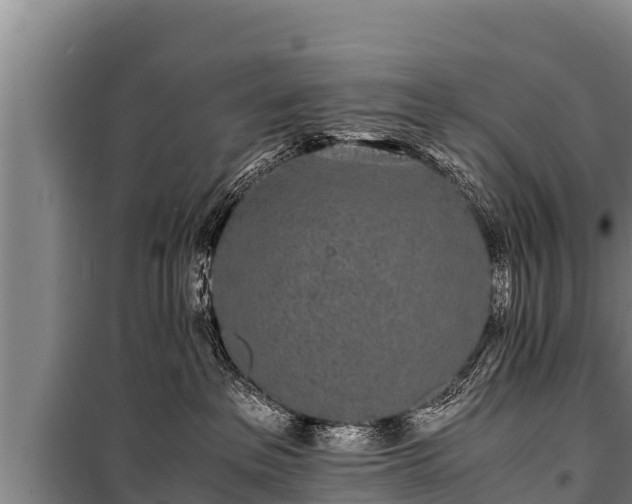 X0000100850237200806271143