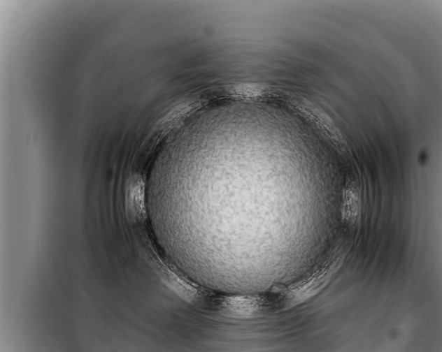 X0000100850238200806271143