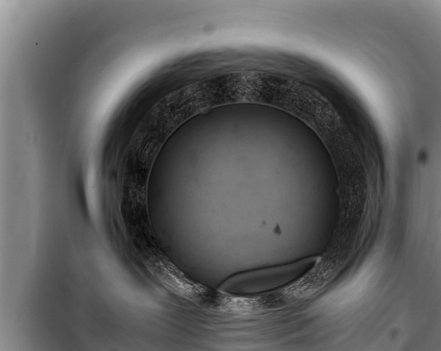 X0000100850239200806271143