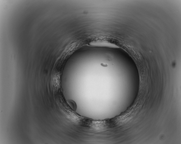 X0000100850240200806271143