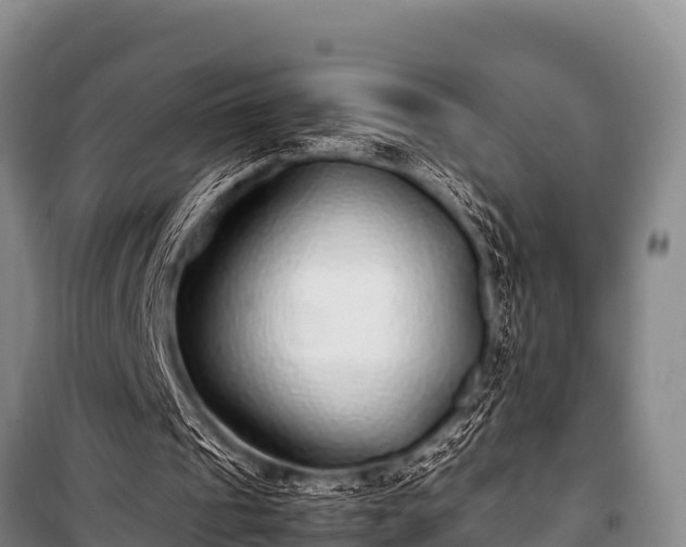 X0000100850241200806271142