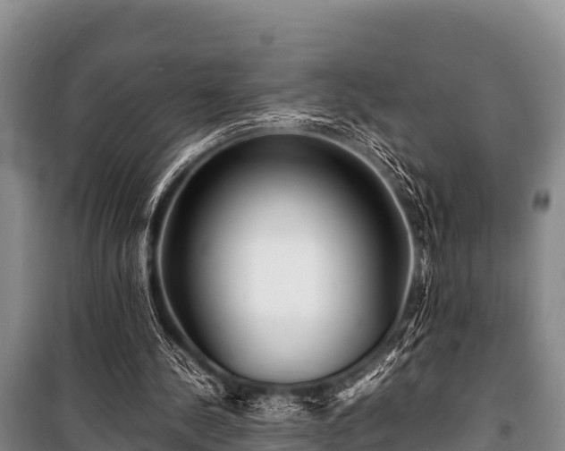 X0000100850244200806271142