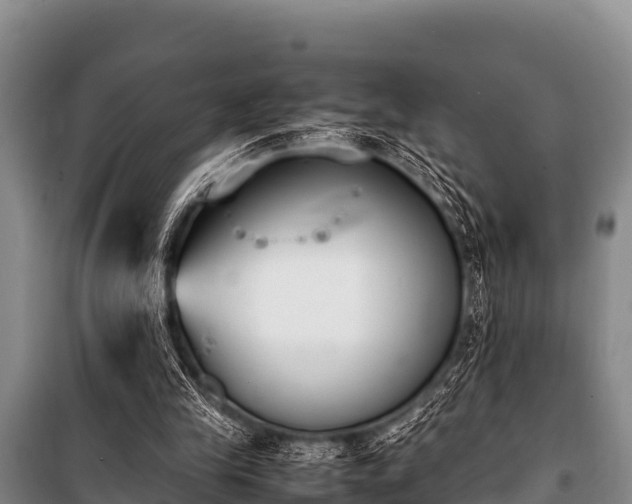 X0000100850245200806271142