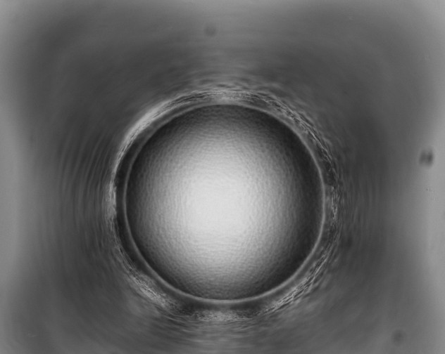 X0000100850246200806271142