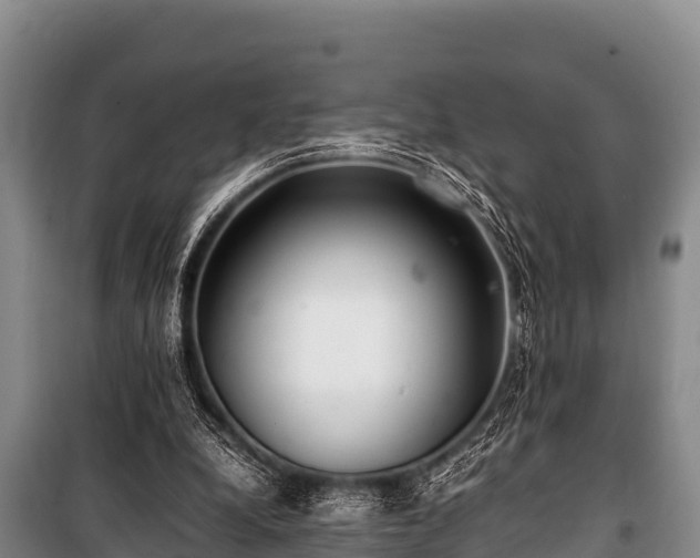 X0000100850248200806271142