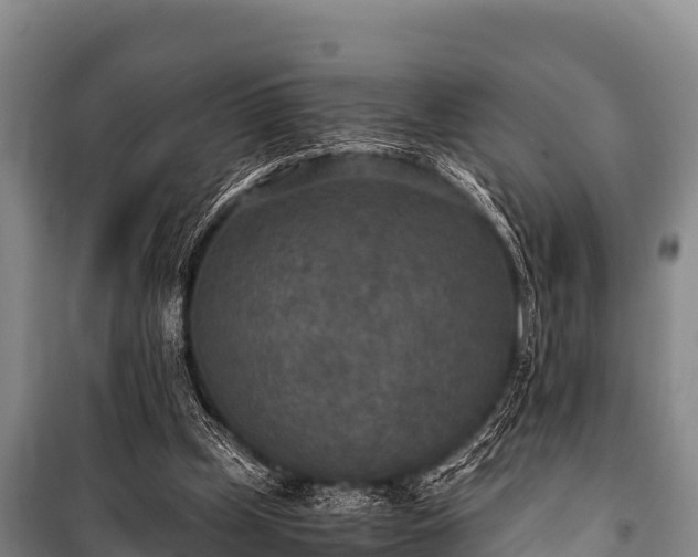 X0000100850249200806271142