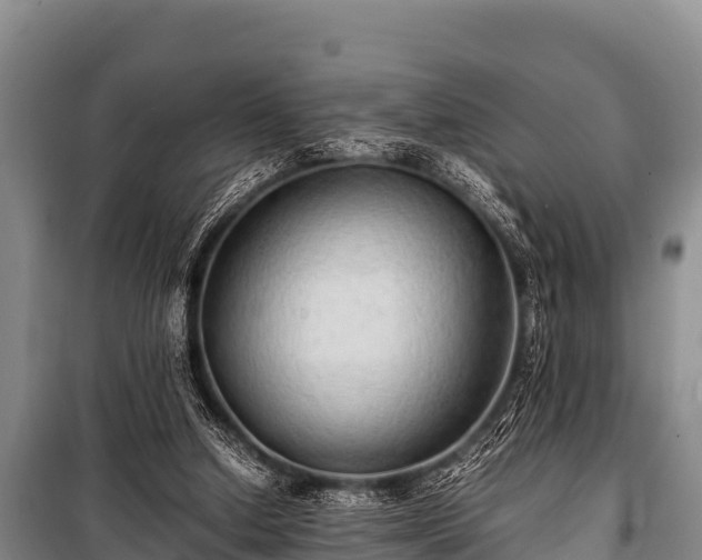 X0000100850250200806271142