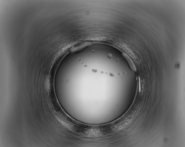 X0000100850252200806271142