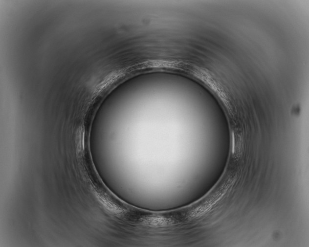 X0000100850253200806271142