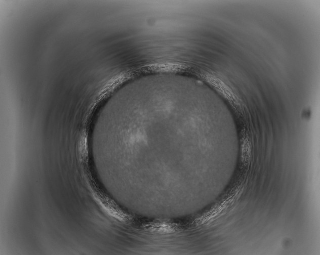 X0000100850254200806271142