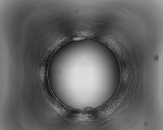 X0000100850255200806271142