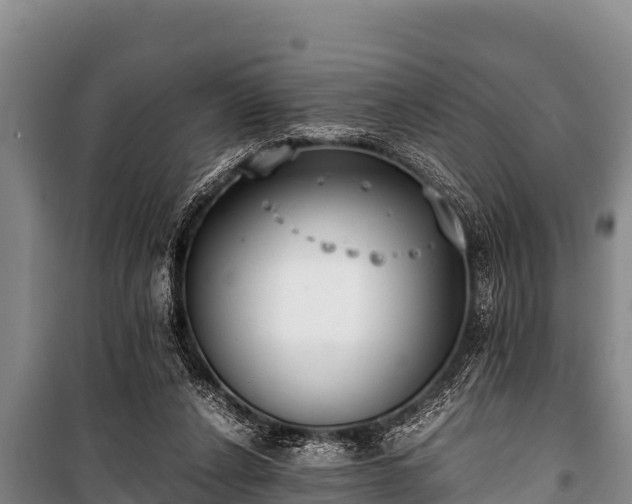 X0000100850256200806271142