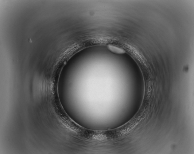 X0000100850258200806271142