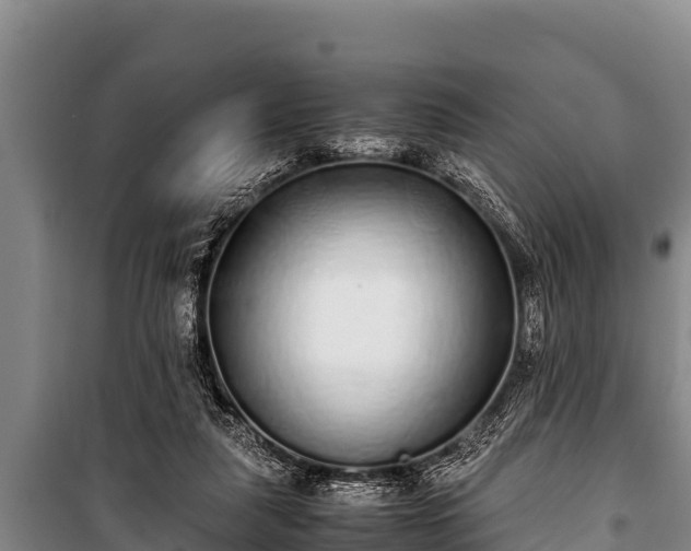 X0000100850259200806271142