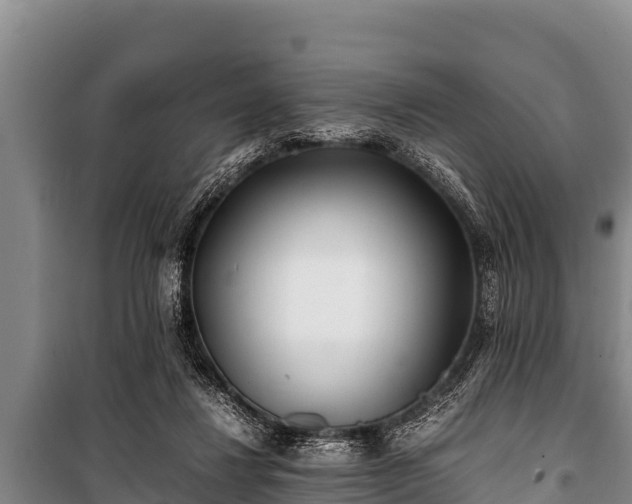 X0000100850260200806271142