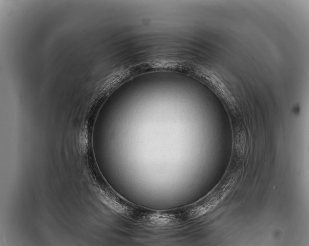 X0000100850261200806271142