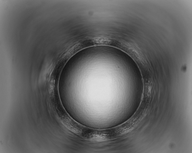 X0000100850263200806271142