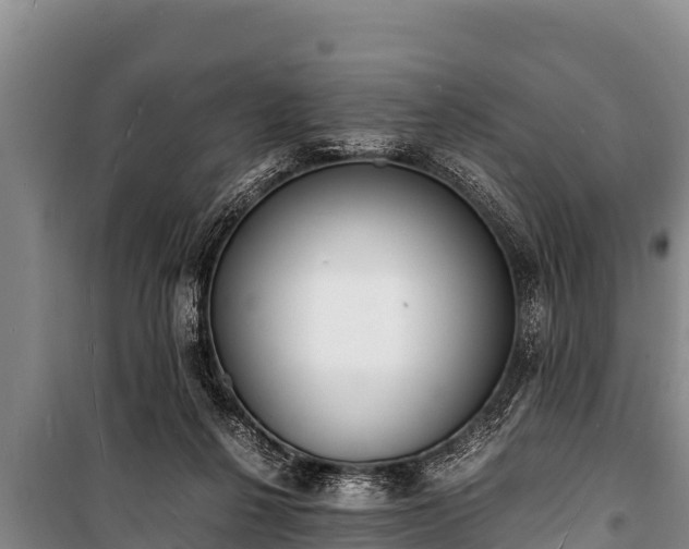 X0000100850264200806271142